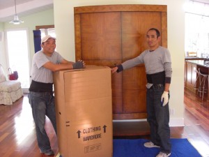 Clothing Wardrobe Box